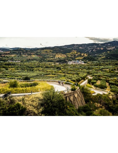 Achat Maillot vélo femme Rogelli Leaf au meilleur prix du web!