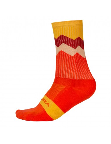 Achat Chaussettes VTT femme Endura au meilleur prix du web!