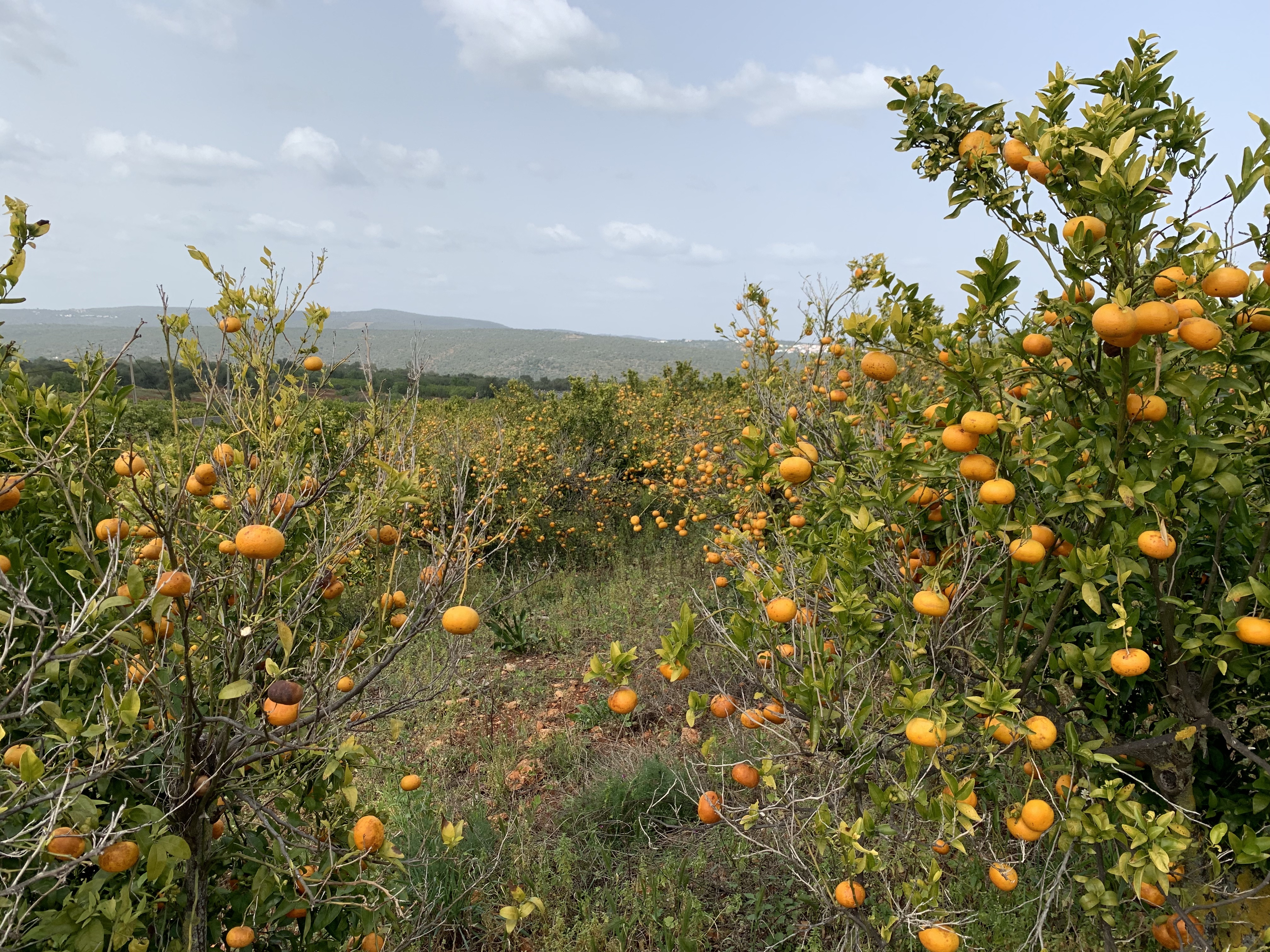 s&eacute;jour-v&eacute;lo-femme-algarve-portugal